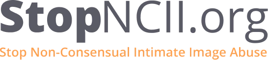 Partner 3 logo